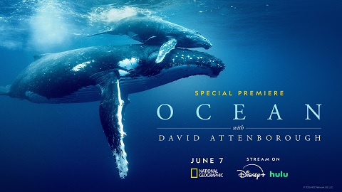 Ocean with David Attenborough